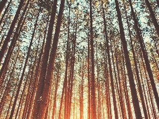 Larasskr_'s profile banner image