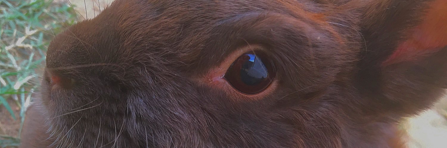 throsels's profile banner image
