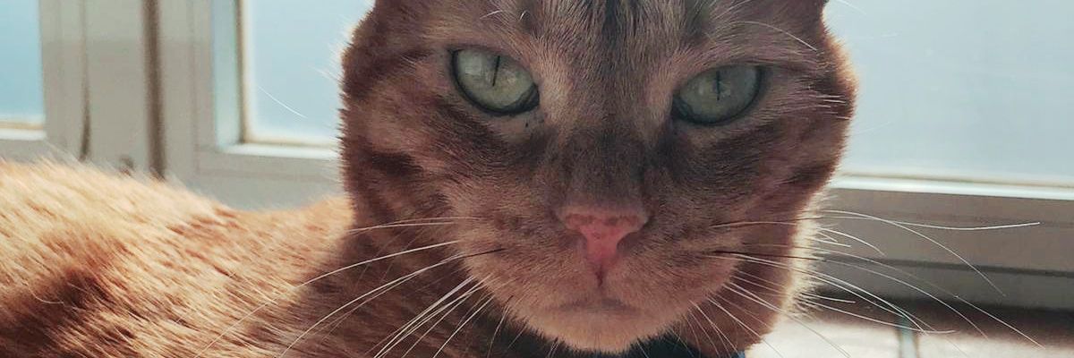 ItziM_4's profile banner image