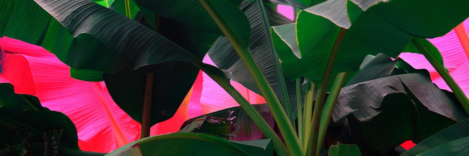 heyolivee's profile banner image