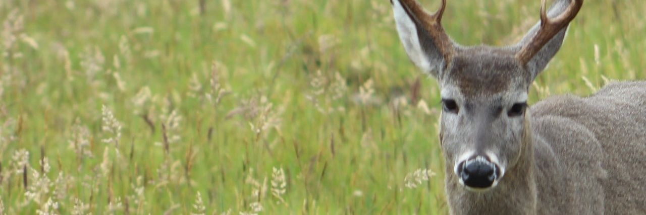 DavidOlarteA's profile banner image