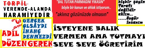 altun_ma's profile banner image
