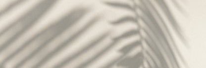 nellabentancour's profile banner image