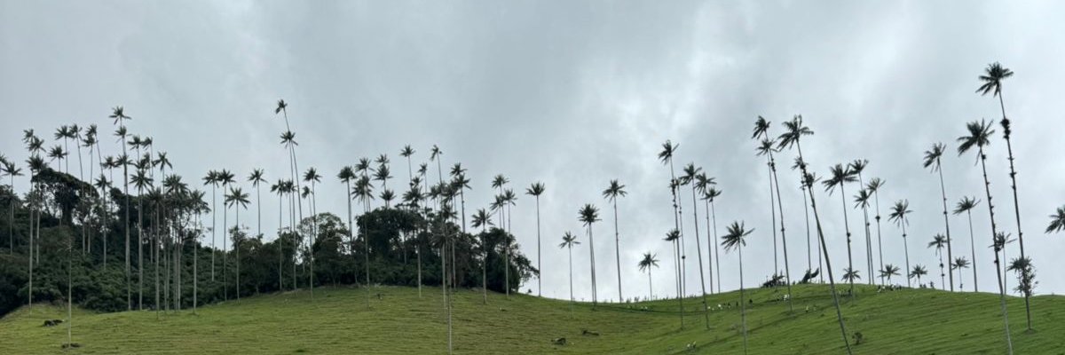 NeydeenRodrigue's profile banner image