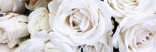 Georgina Rae banner