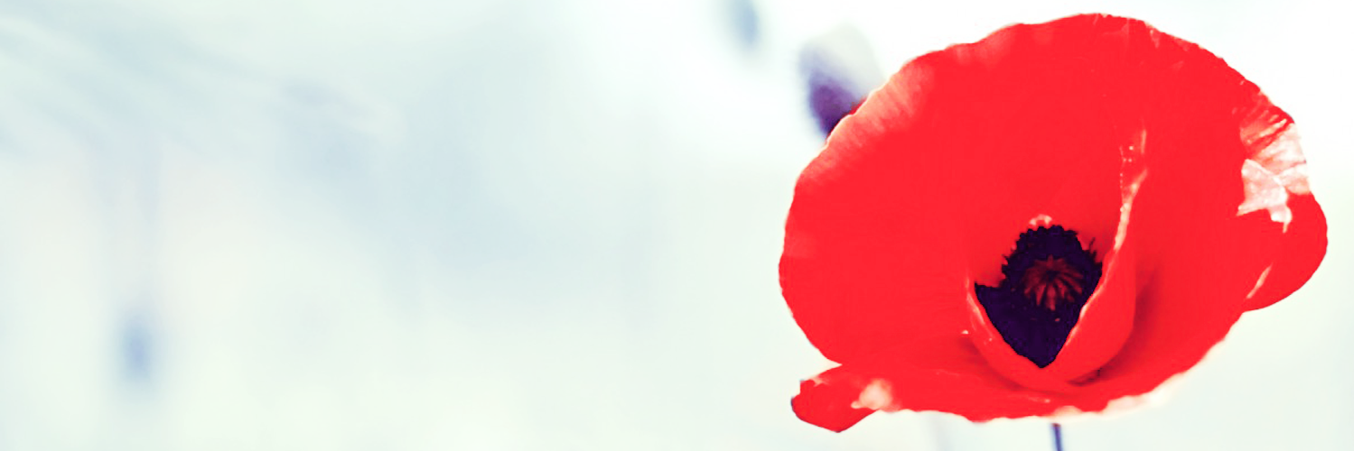 Mizugachi's profile banner image