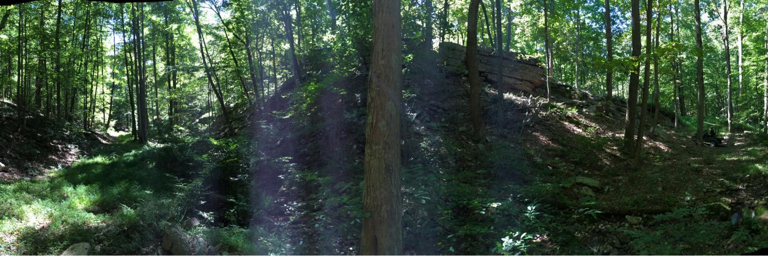 KaylaMarieHenry's profile banner image