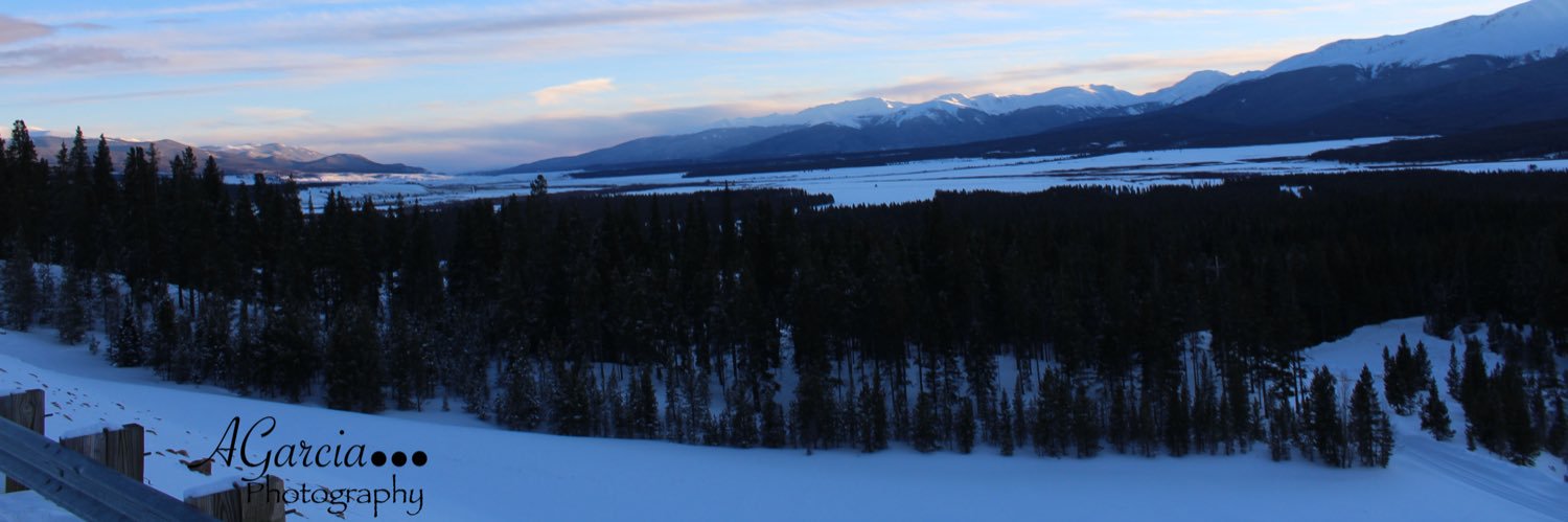nicholeg10's profile banner image