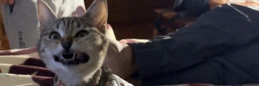 SarahRiivera's profile banner image