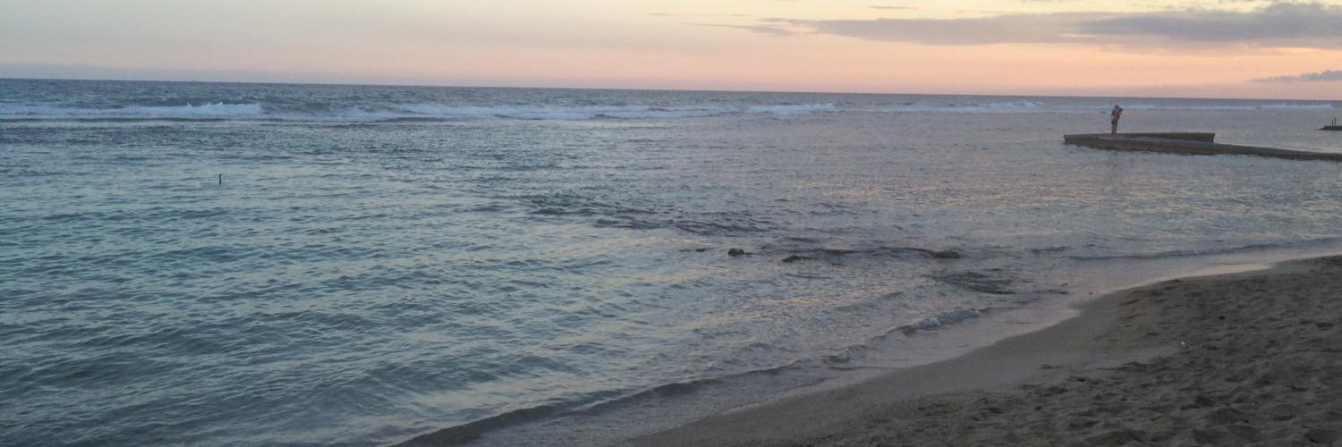 ismeldyguzman's profile banner image