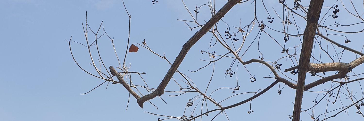 jacklaitw's profile banner image
