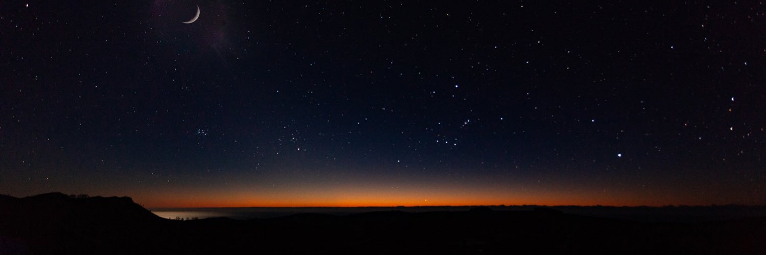 whale_slider's profile banner image