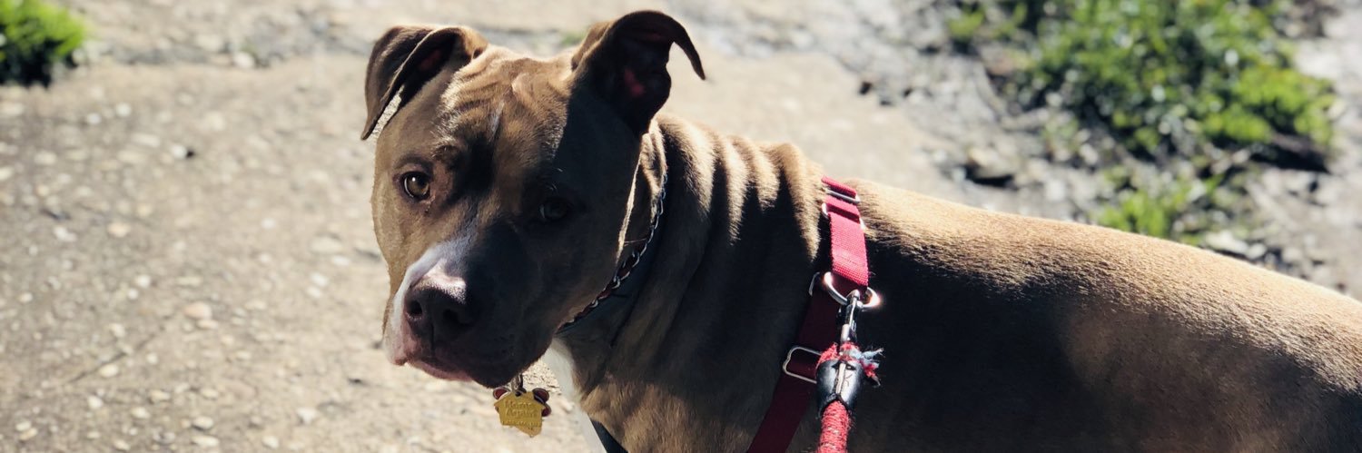 TheRealKelllzz's profile banner image