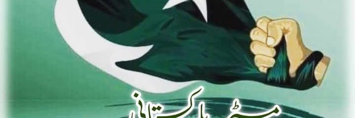 مسٹر پاکستانی✨'s banner