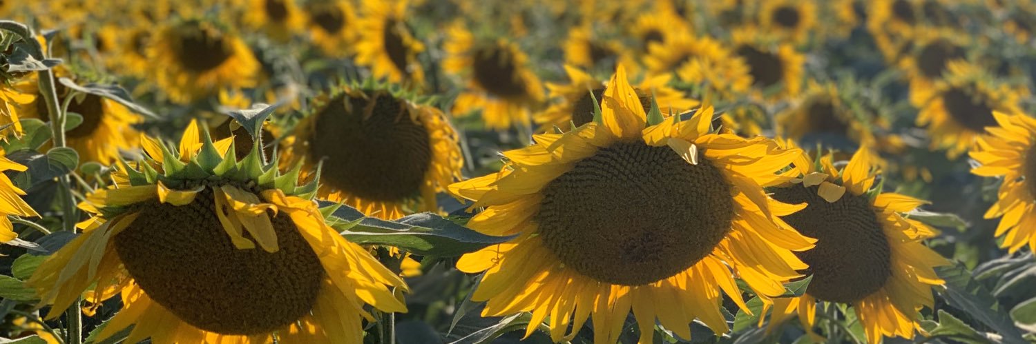 nicoleclancy43's profile banner image