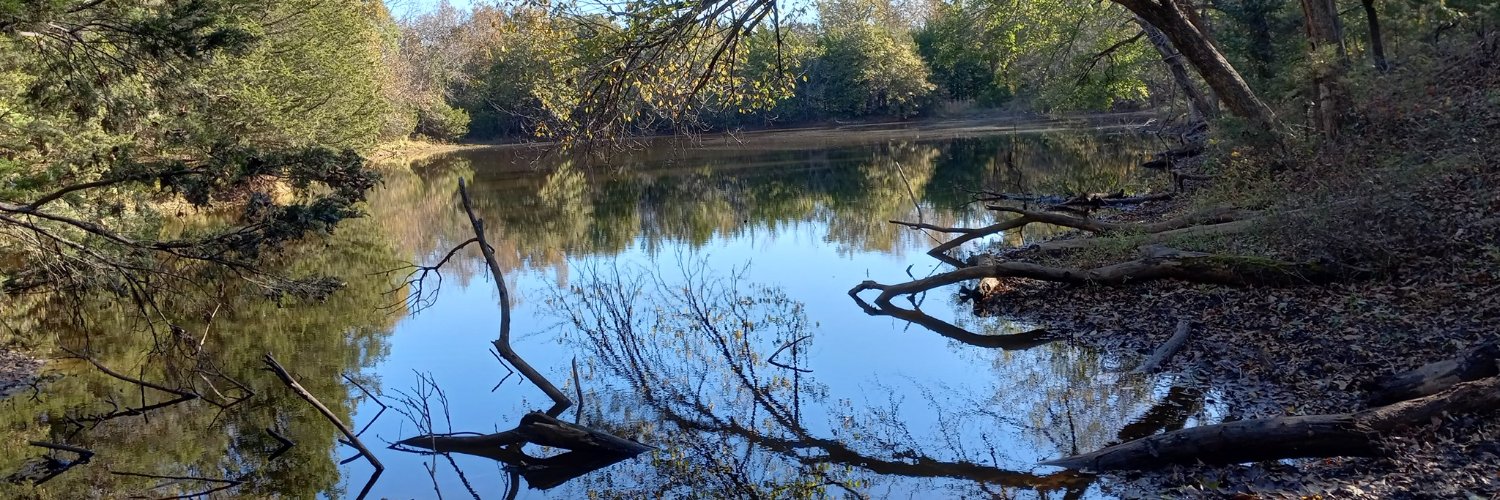 Stephen Smith banner