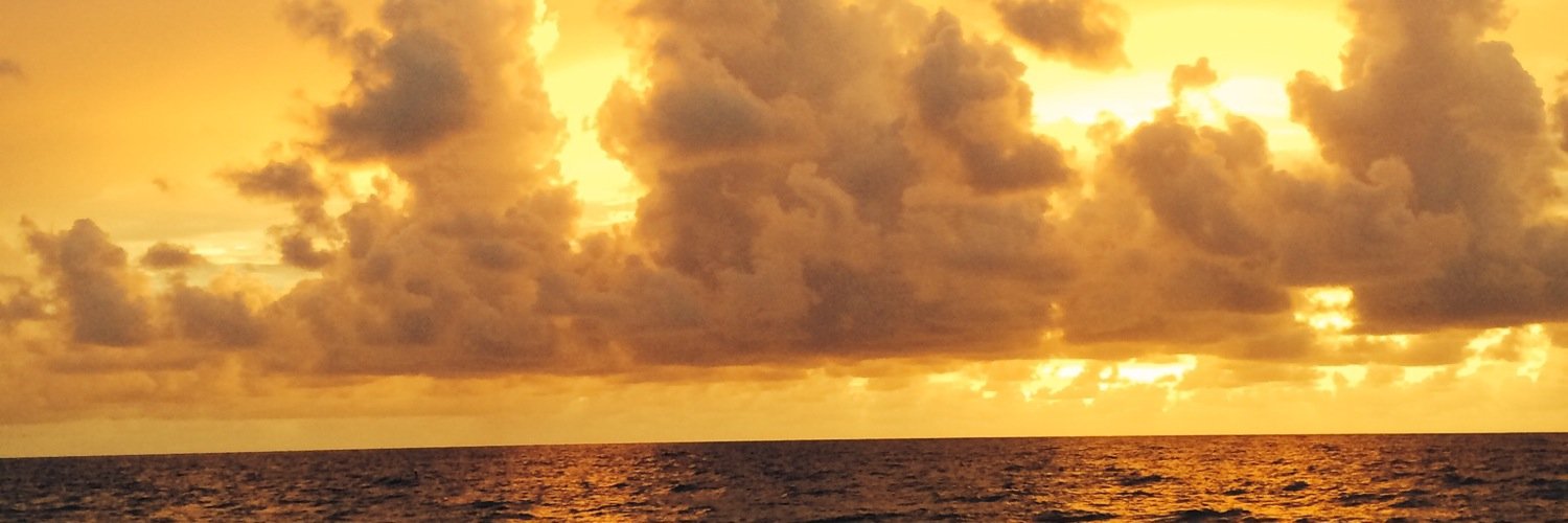 nlglazer's profile banner image