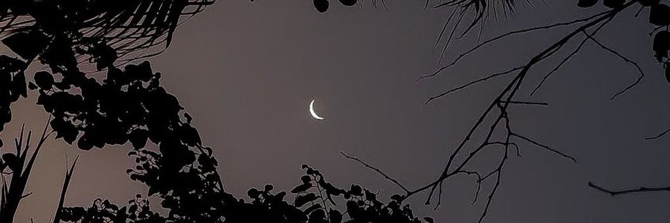 _Afeemi's profile banner image