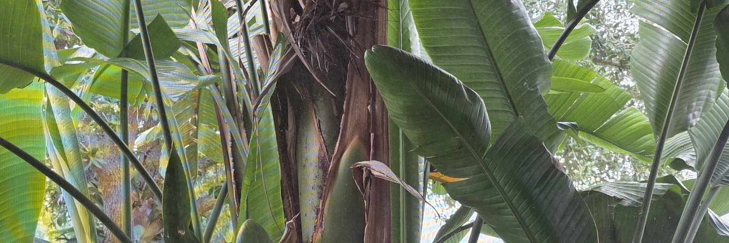 mpvitry's profile banner image