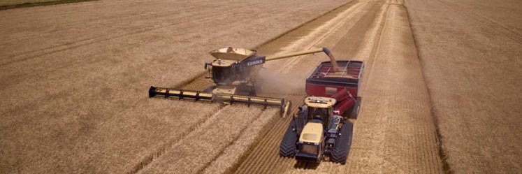 Kristen Winter banner