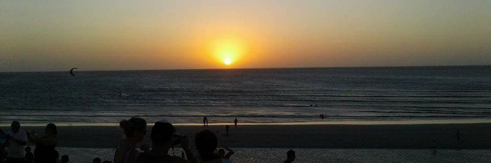 peamonteiiro's profile banner image