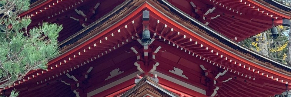 紫虚（女道士 banner