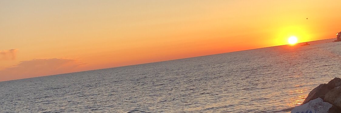 NicoleFed's profile banner image