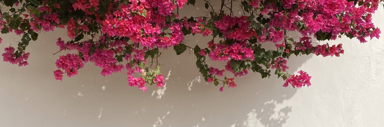 ShahdaNofan's profile banner image