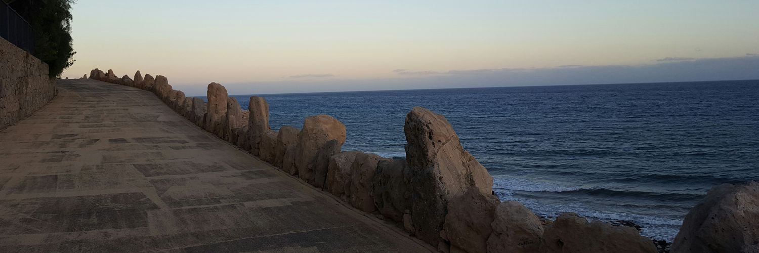 CecchinAlberto's profile banner image