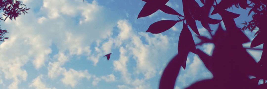 koko_sh4's profile banner image