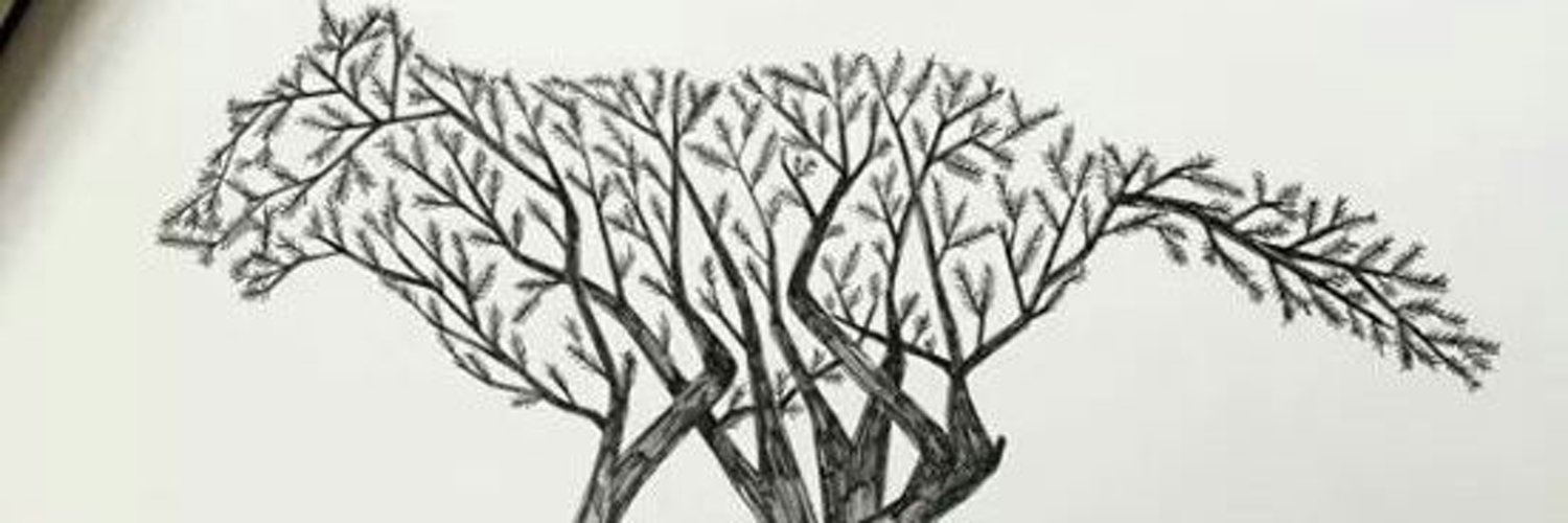 kashorro82's profile banner image