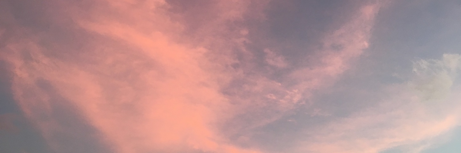 DanielaJacobo1's profile banner image