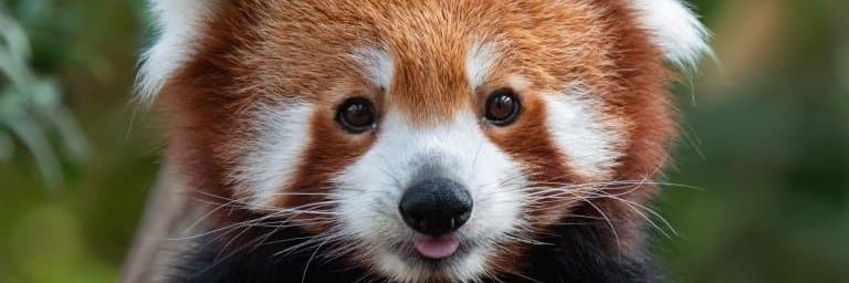 oloridanny's profile banner image