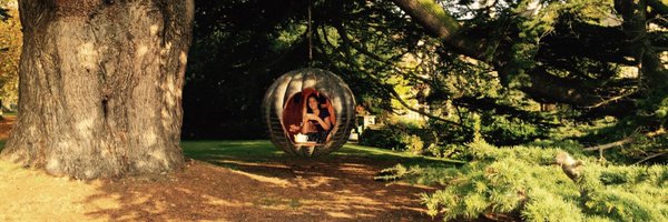 Lucymdancer Profile Banner