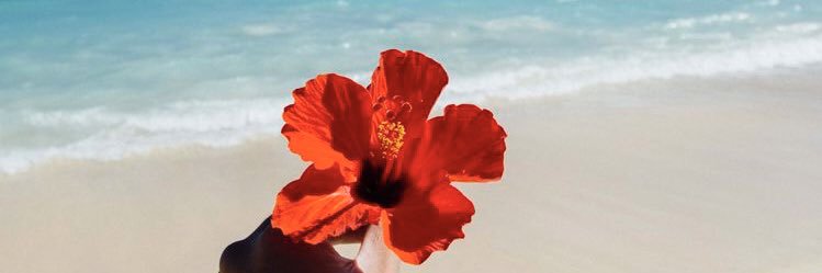 vanessd22's profile banner image