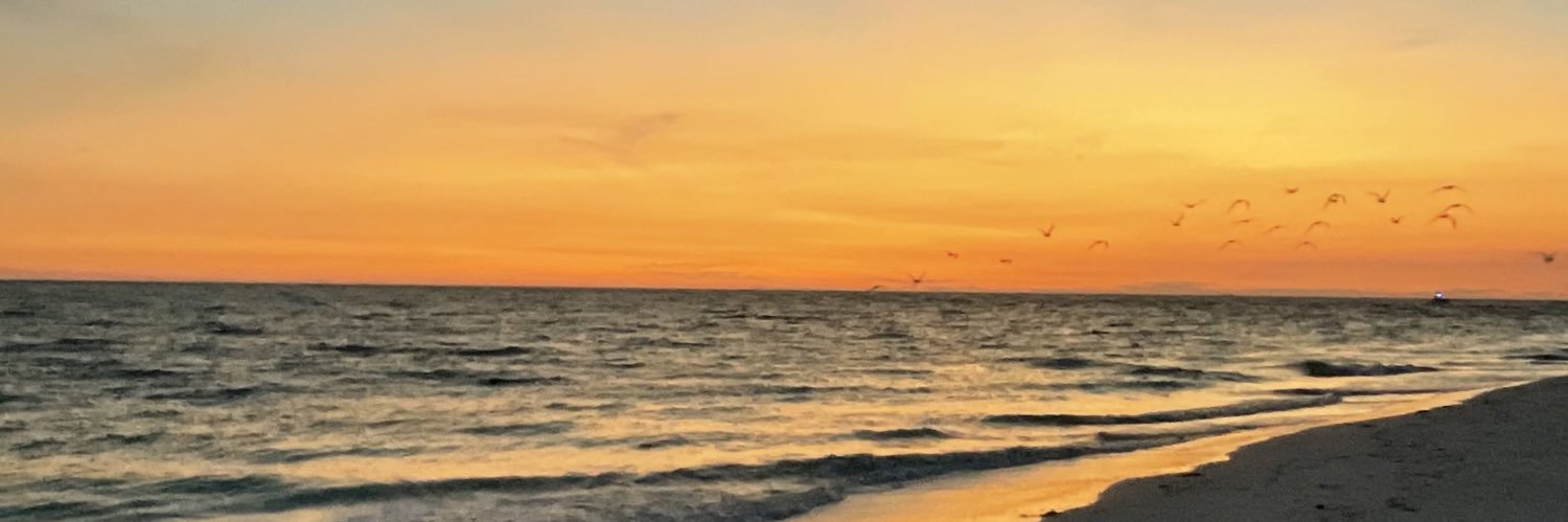 ellasnowball's profile banner image