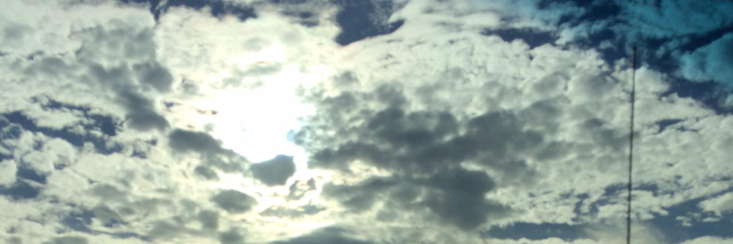 rae_salinas's profile banner image