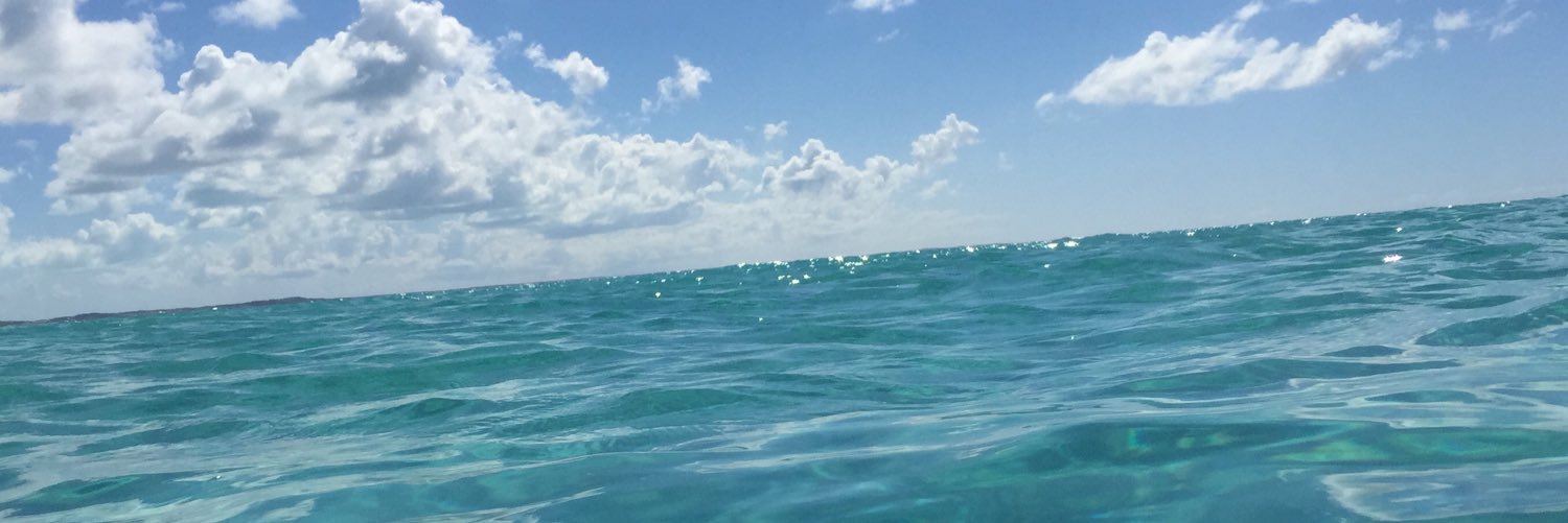 sarahmora's profile banner image