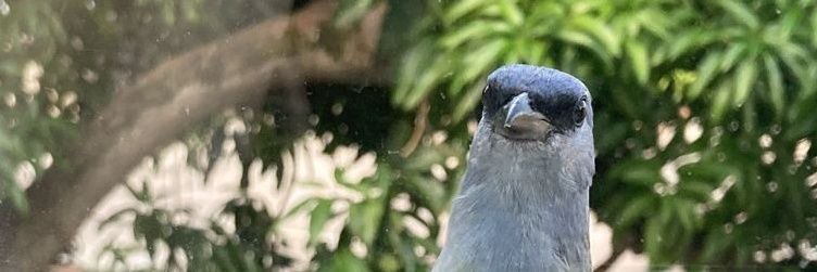 paaogutierrez_'s profile banner image