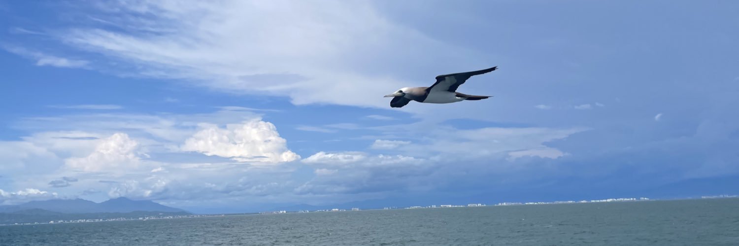 paHuita's profile banner image