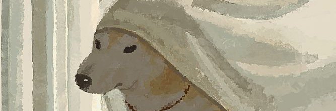 i_mashi's profile banner image
