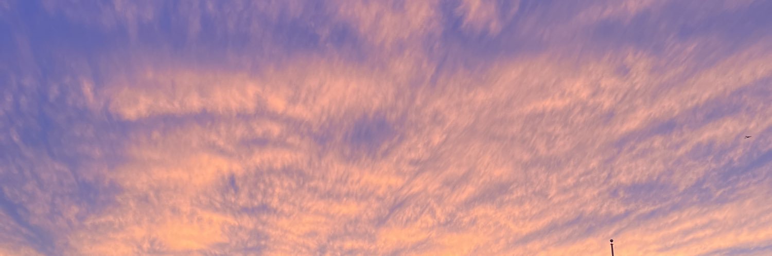 shlea_b's profile banner image