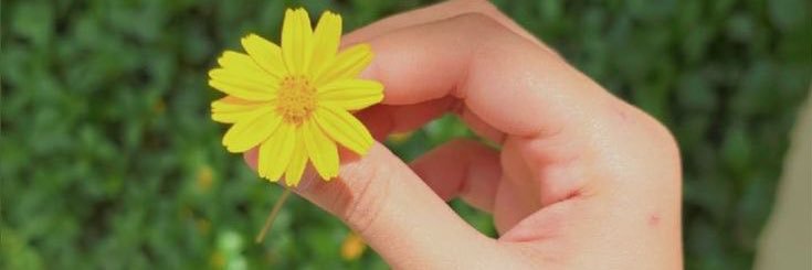 يغار الورد🍃 banner