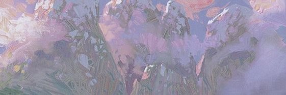 ljveronese's profile banner image