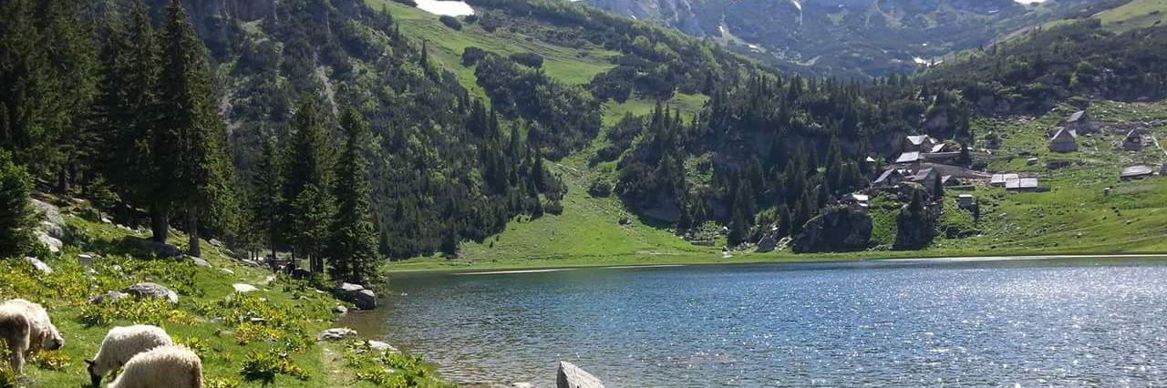 ✨ ﮼أبوحمود✨ banner