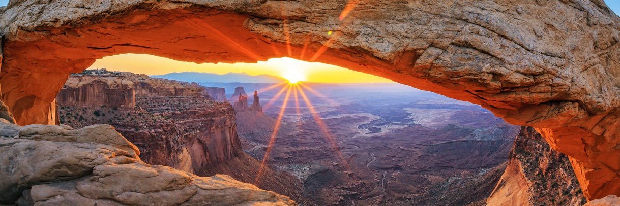 David Curtiss banner