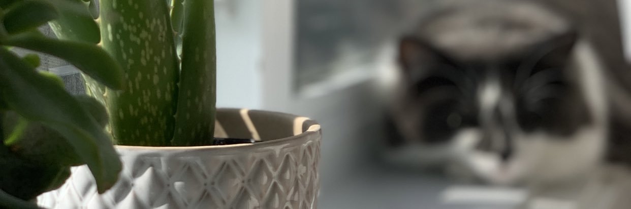 tishmillward2's profile banner image
