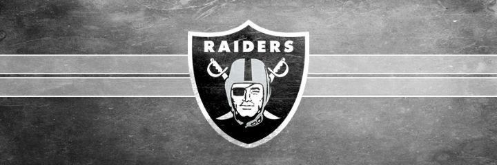 zraiderTW's profile banner image
