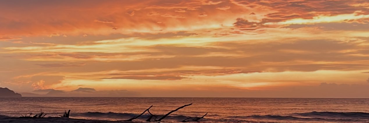 NicolasBaron_'s profile banner image