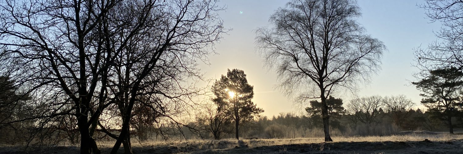 Jan_Helder's profile banner image